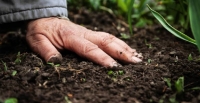 Cinq signes que le monde s'attaque enfin � la d�gradation des sols