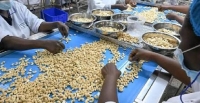 Fili�re anacarde : l�identification des producteurs se poursuit dans la Bagou�