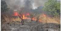 Feux de brousse : un fl�au environnemental et humain qui alarme