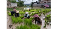 Pour vaincre la faim dans le monde, misons sur les communaut�s rurales